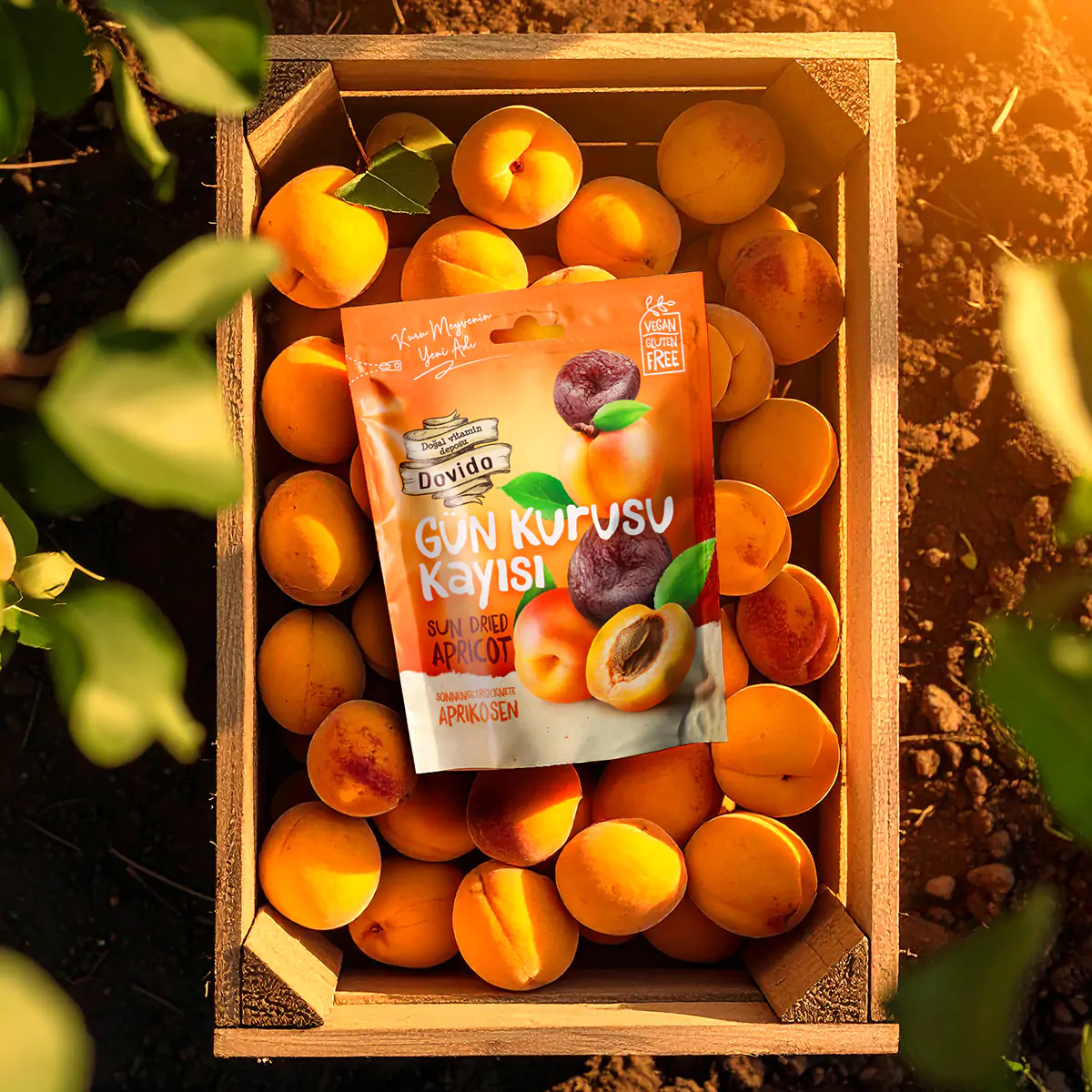 Gün Kurusu Kayısı